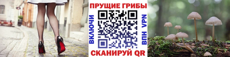 Псилоцибиновые грибы ЛСД  цены   Вытегра 